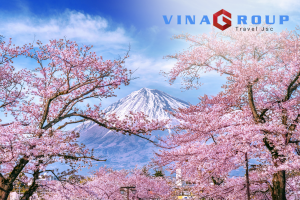 [HOA ANH ĐÀO] - NHẬT BẢN: OSAKA – NARA – KYOTO – NAGOYA – YAMANASHI – TOKYO